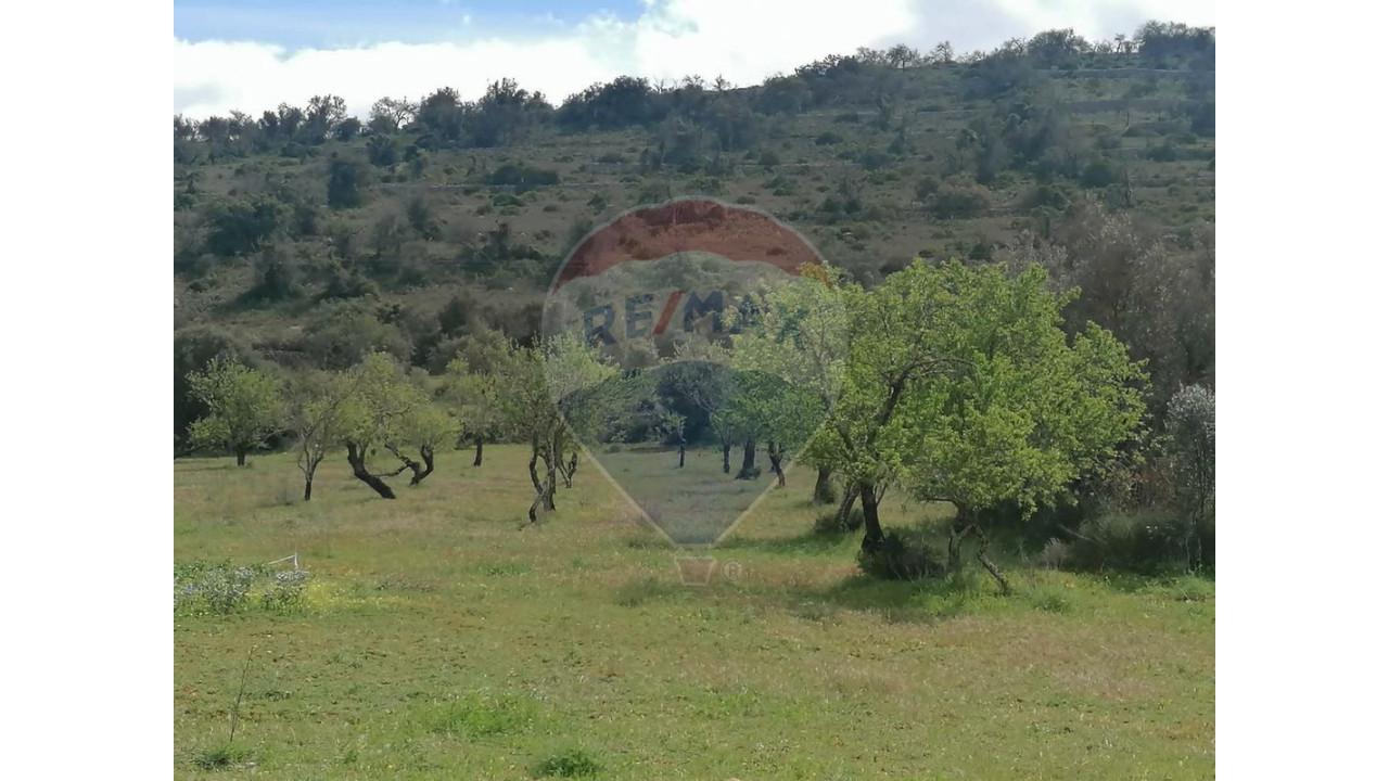 Terreno P/ Prédio para Venda em Paderne Foto 6