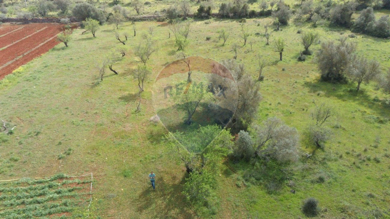 Terreno P/ Prédio para Venda em Paderne Foto 4