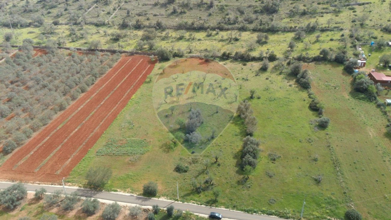 Terreno P/ Prédio para Venda em Paderne Foto 2