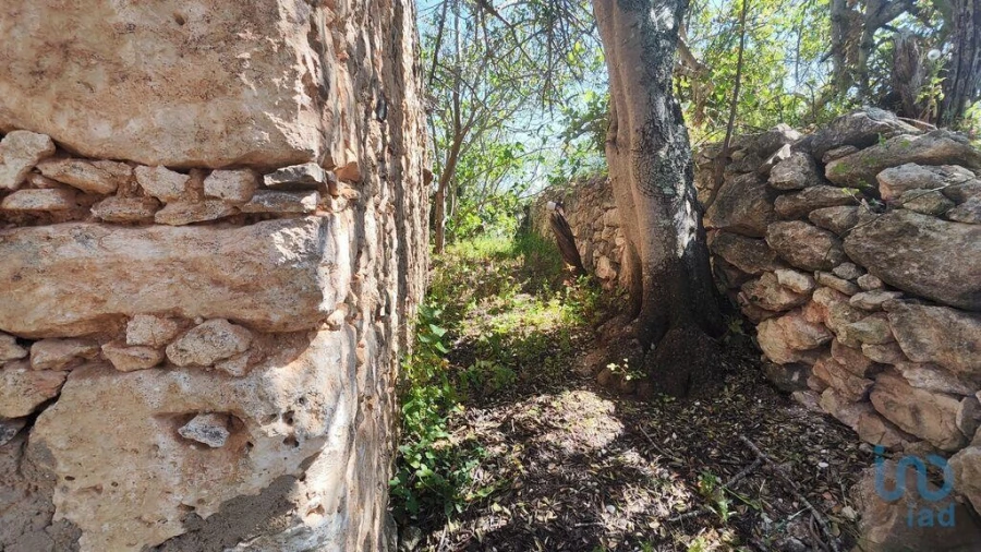 Moradia T3 para Venda em Paderne Foto 11