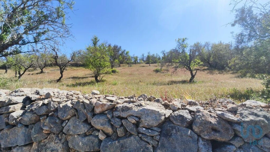 Moradia T3 para Venda em Paderne Foto 6