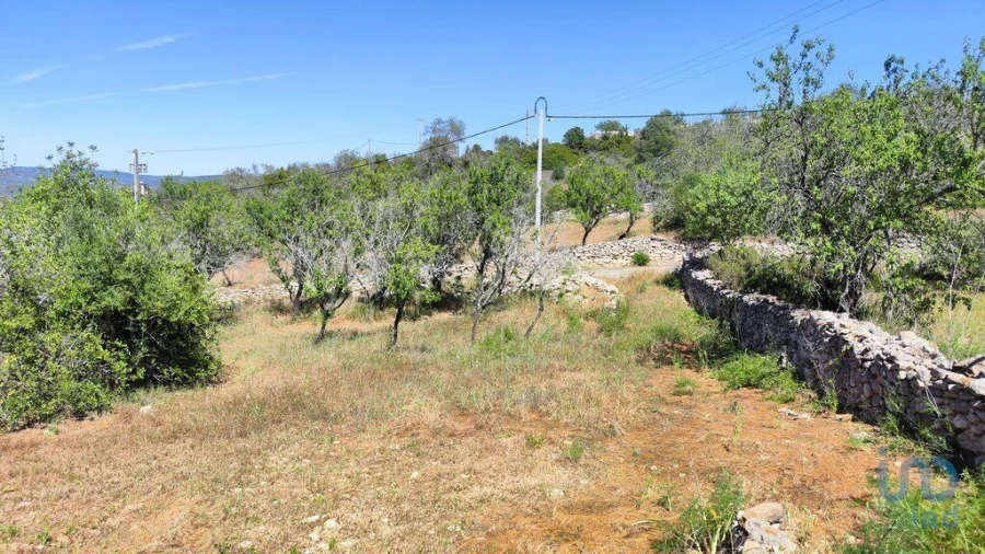 Moradia T3 para Venda em Paderne Foto 14