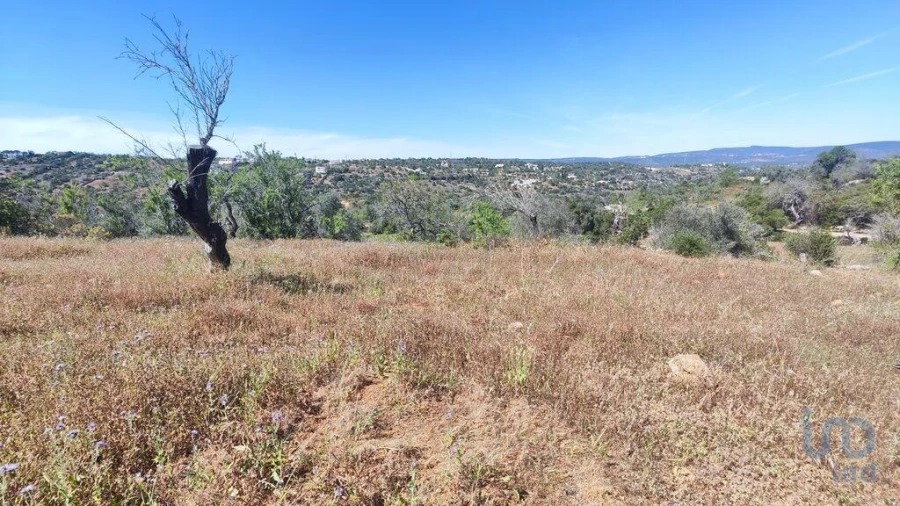 Moradia T3 para Venda em Paderne Foto 9