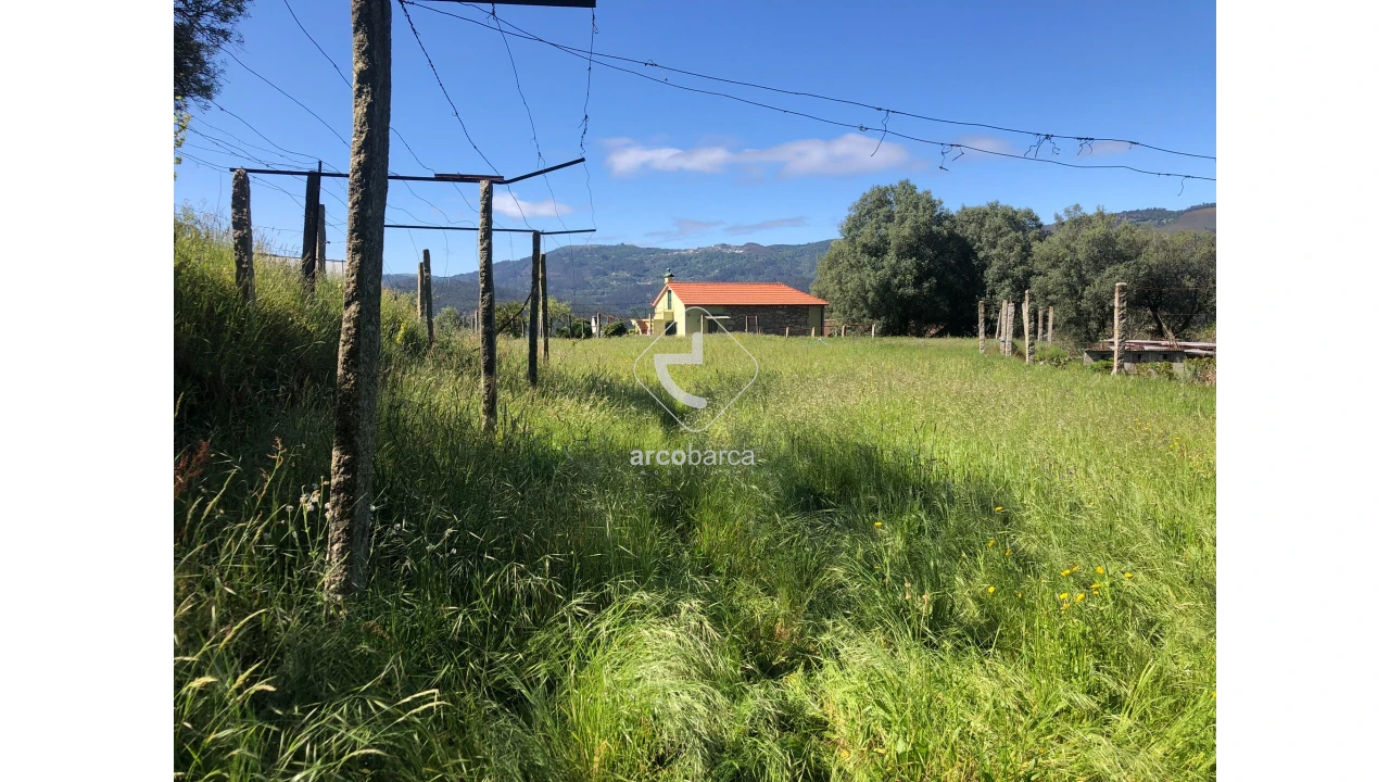 Terreno para Venda em Vilela, São Cosme e São Damião e Sá Foto 10