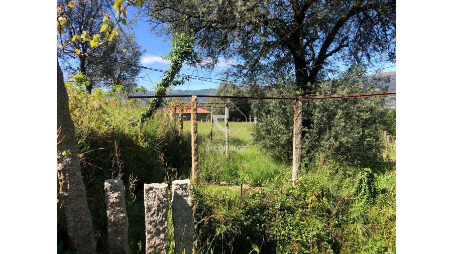 Terreno para Venda em Vilela, São Cosme e São Damião e Sá Foto 11