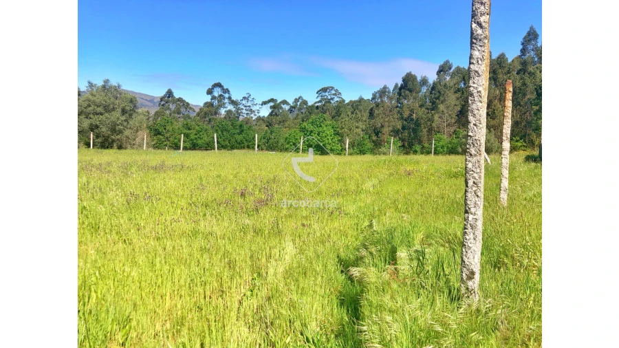Terreno para Venda em Vilela, São Cosme e São Damião e Sá Foto 3