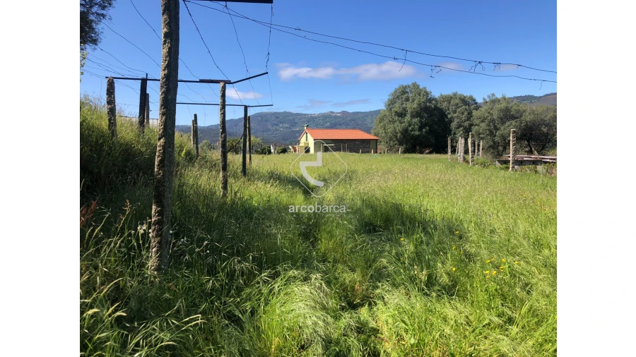 Terreno para Venda em Vilela, São Cosme e São Damião e Sá Foto 10