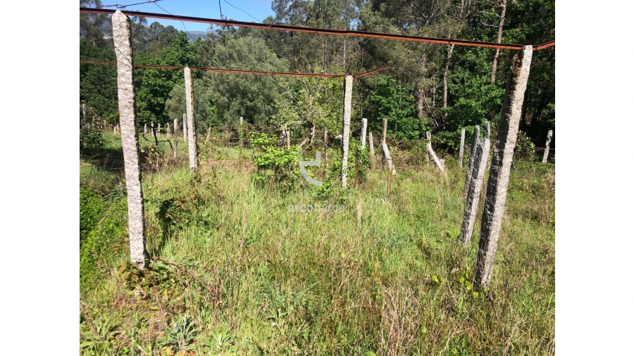Terreno para Venda em Vilela, São Cosme e São Damião e Sá Foto 6