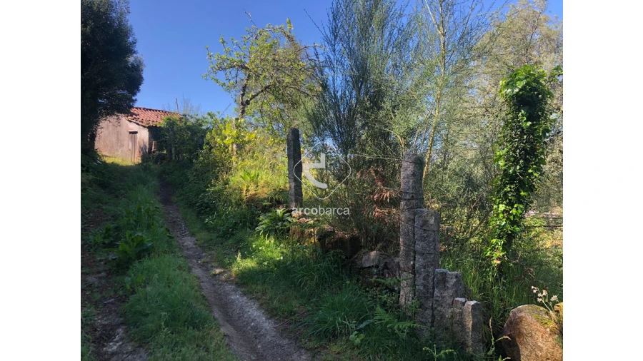 Terreno para Venda em Vilela, São Cosme e São Damião e Sá Foto 12