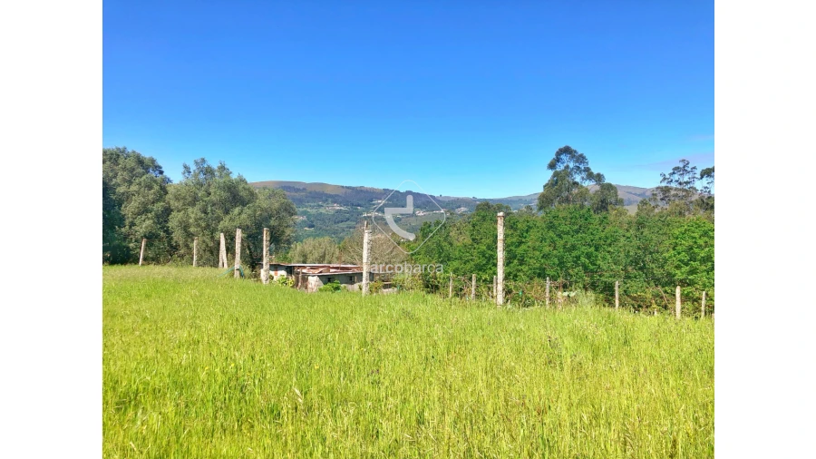 Terreno para Venda em Vilela, São Cosme e São Damião e Sá Foto 2