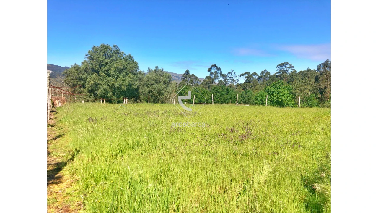 Terreno para Venda em Vilela, São Cosme e São Damião e Sá Foto 8