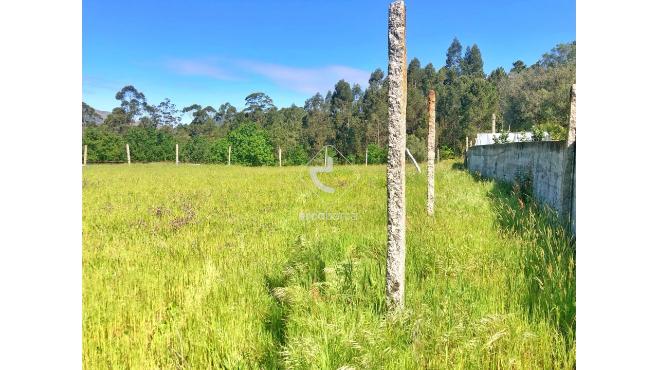 Terreno para Venda em Vilela, São Cosme e São Damião e Sá Foto 9