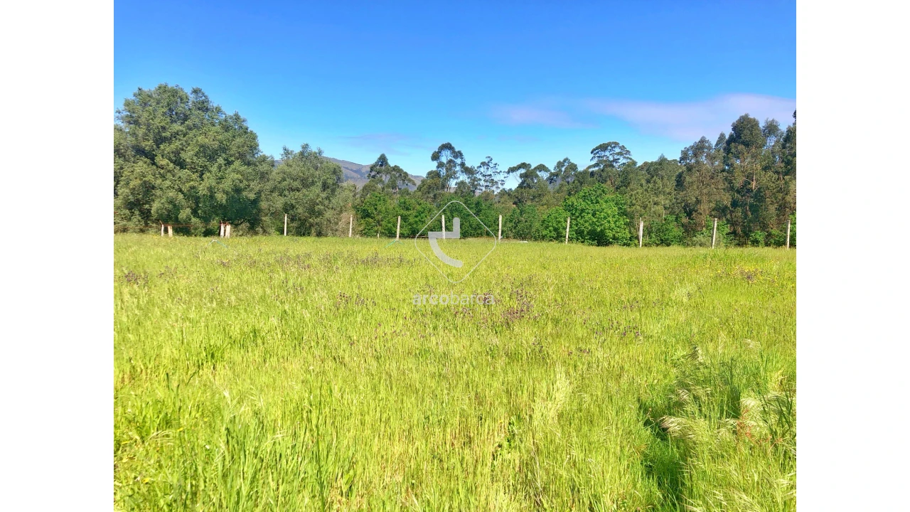 Terreno para Venda em Vilela, São Cosme e São Damião e Sá Foto 1