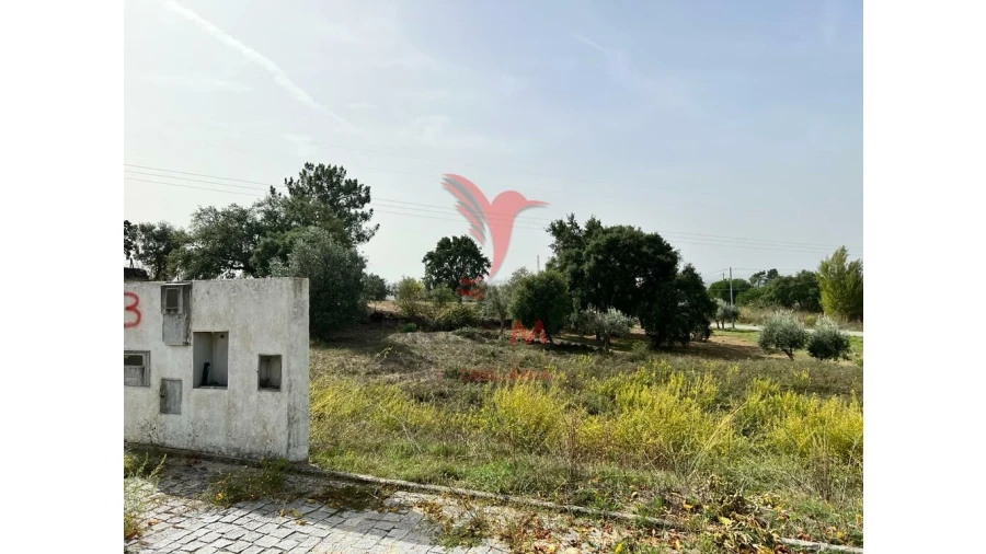 Terreno para Venda em Mouriscas Foto 3