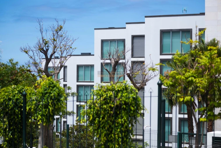 Apartamento T2 para Venda em São Martinho Foto 2