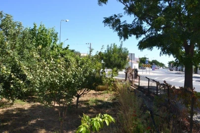 Terreno para Venda em Ferreiras