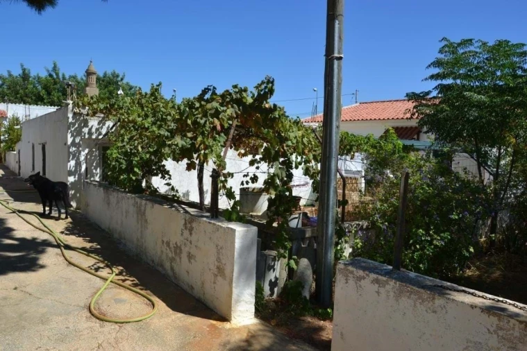 Terreno para Venda em Ferreiras Foto 8