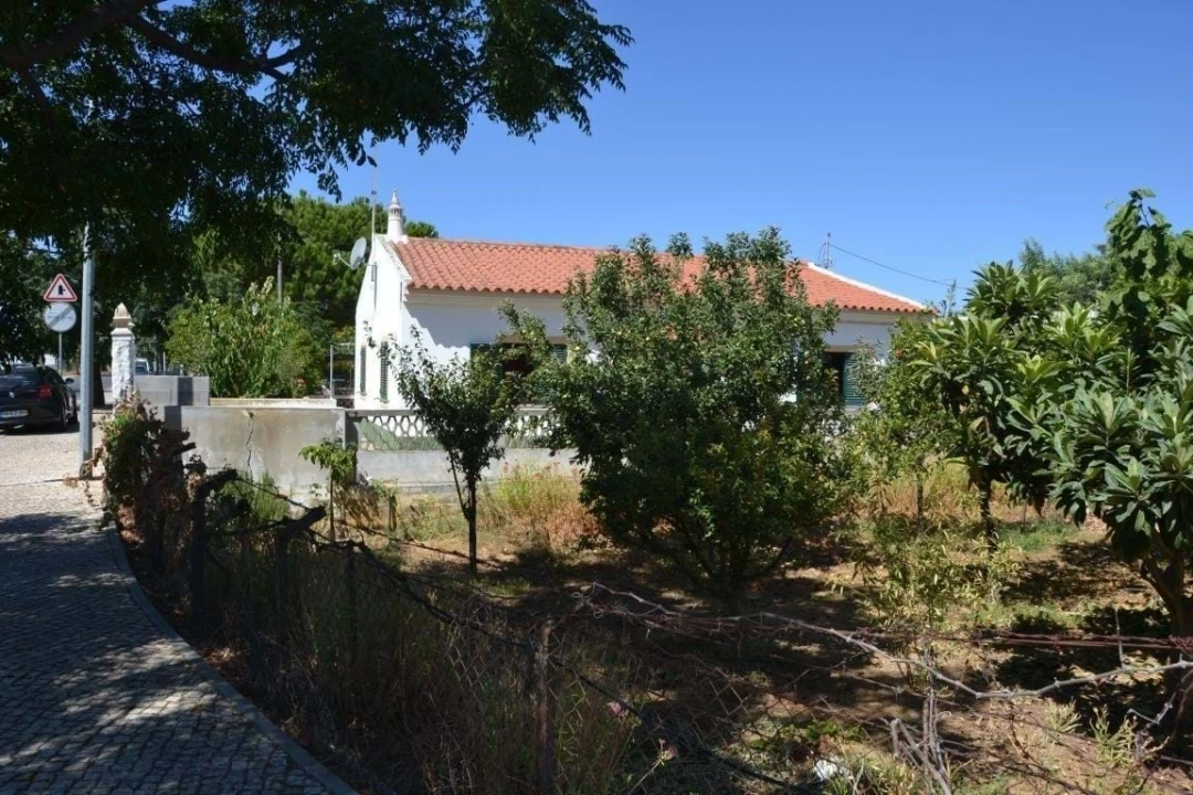 Terreno para Venda em Ferreiras Foto 5