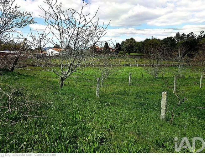 Moradia T5 para Venda em Venade e Azevedo Foto 24