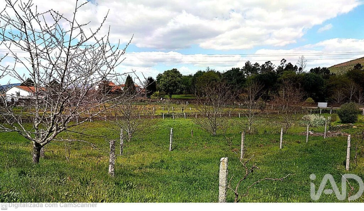 Moradia T5 para Venda em Venade e Azevedo Foto 22