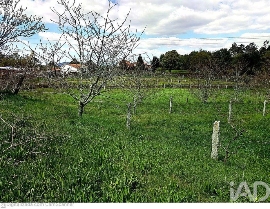 Moradia T5 para Venda em Venade e Azevedo Foto 24