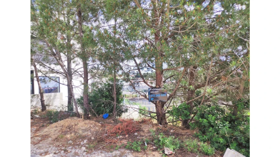 Terreno para Venda em Laranjeiro e Feijó Foto 5