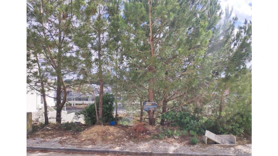 Terreno para Venda em Laranjeiro e Feijó