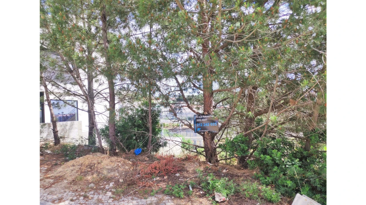 Terreno para Venda em Laranjeiro e Feijó Foto 5