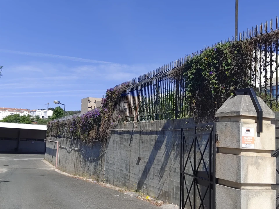 Terreno Agricola ou Rústico para Venda em Ajuda Foto 2