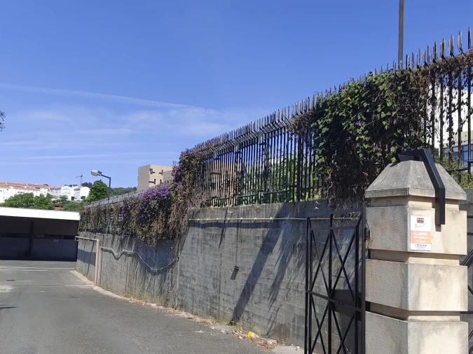 Terreno Agricola ou Rústico para Venda em Ajuda Foto 2