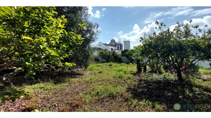 Terreno para Venda em Horta (Matriz) Foto 5