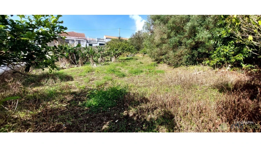 Terreno para Venda em Horta (Matriz) Foto 2