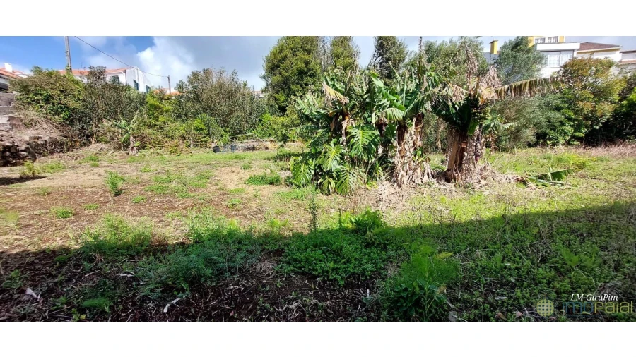 Terreno para Venda em Horta (Matriz) Foto 3