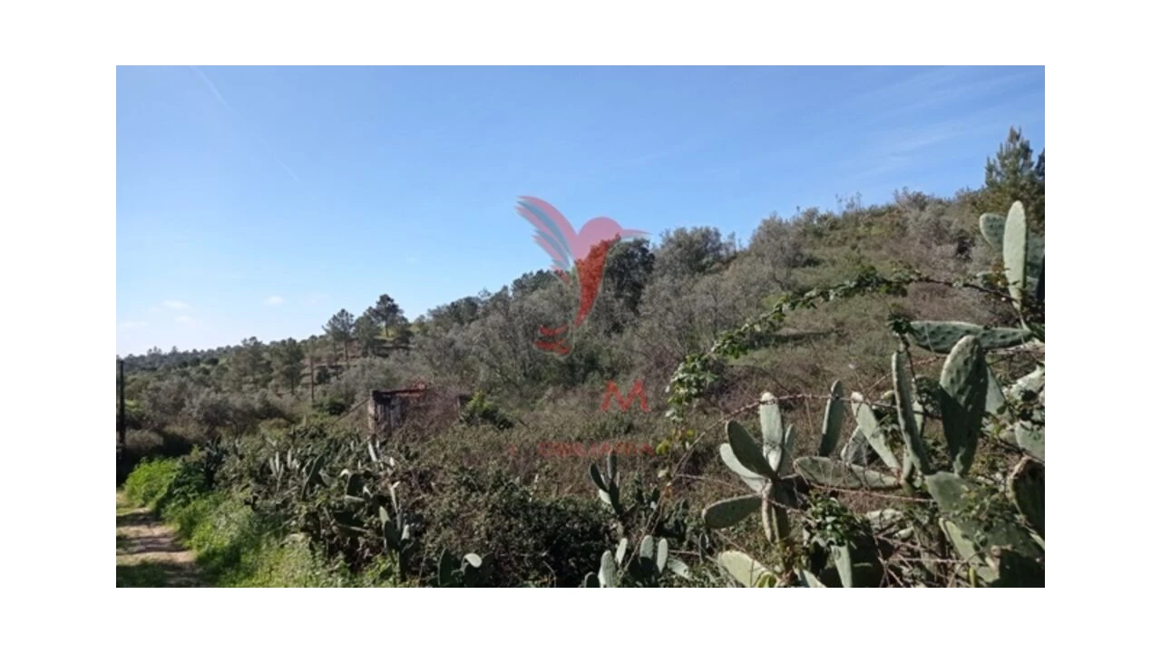 Quinta T2 para Venda em Montargil Foto 9