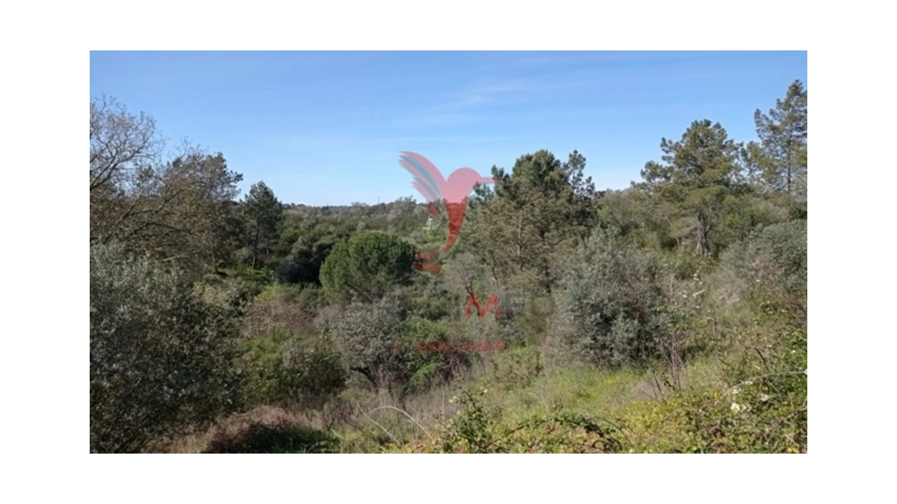 Quinta T2 para Venda em Montargil Foto 4