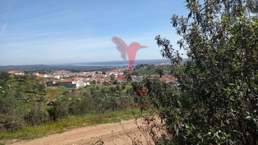 Quinta T2 para Venda em Montargil Foto 3