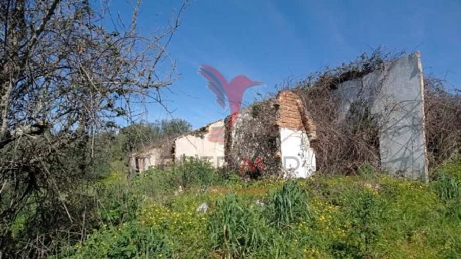 Quinta T2 para Venda em Montargil Foto 11