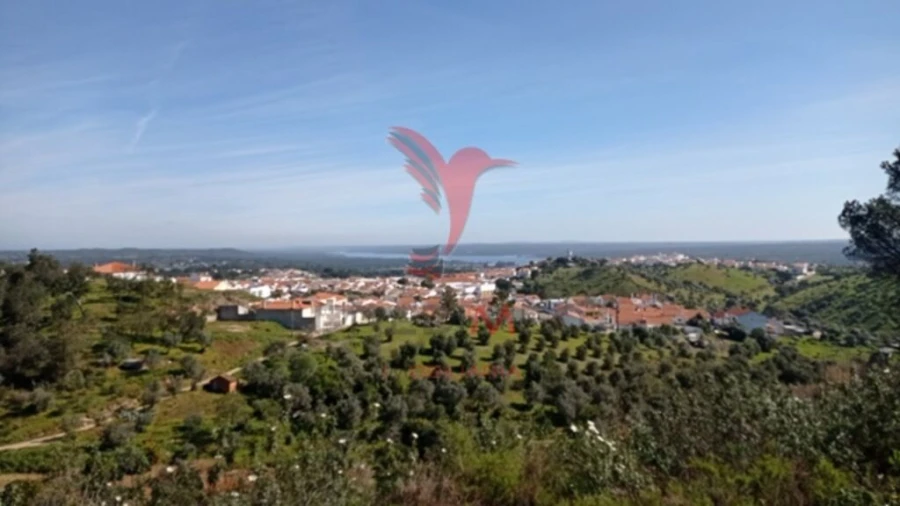 Quinta T2 para Venda em Montargil Foto 5