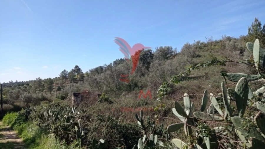 Quinta T2 para Venda em Montargil Foto 9