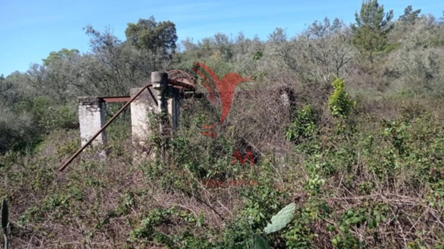 Quinta T2 para Venda em Montargil Foto 10