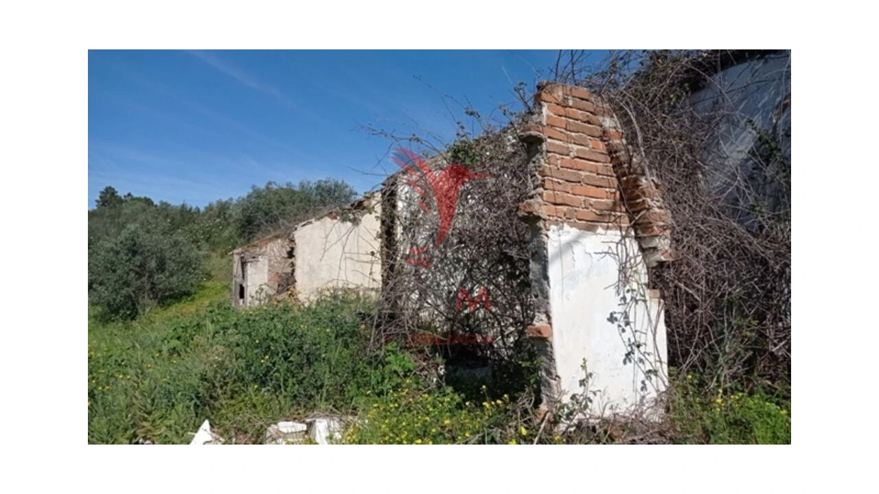 Quinta T2 para Venda em Montargil Foto 6