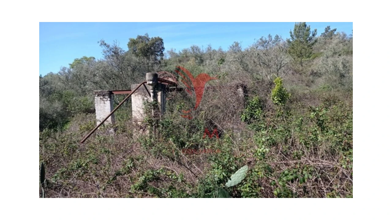 Quinta T2 para Venda em Montargil Foto 10