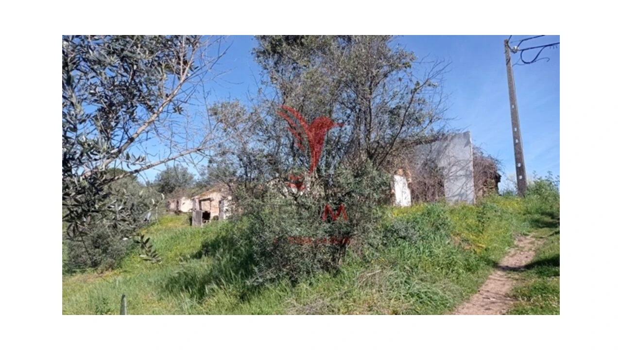 Quinta T2 para Venda em Montargil Foto 1