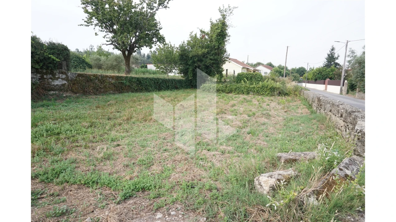 Terreno Agricola ou Rústico para Venda em Tondela e Nandufe Foto 4