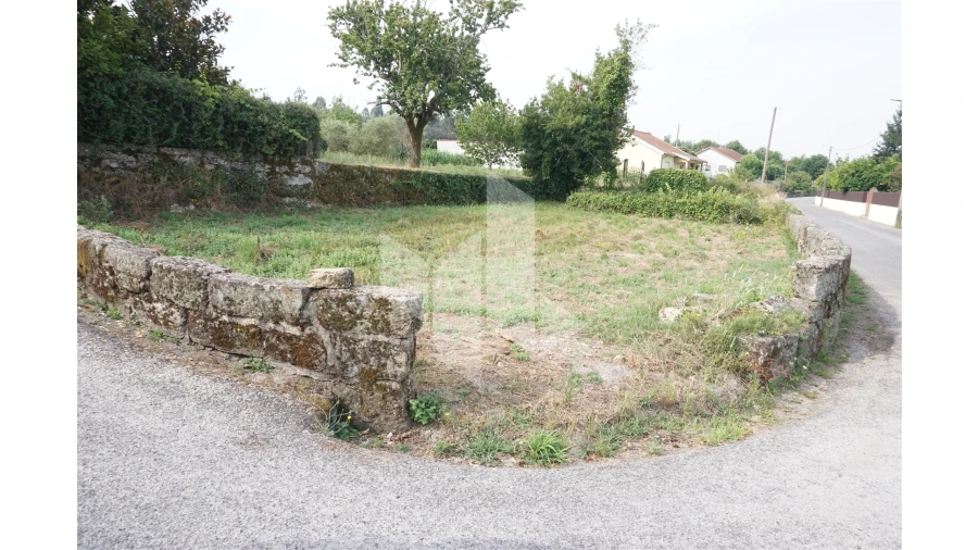 Terreno Agricola ou Rústico para Venda em Tondela e Nandufe Foto 3