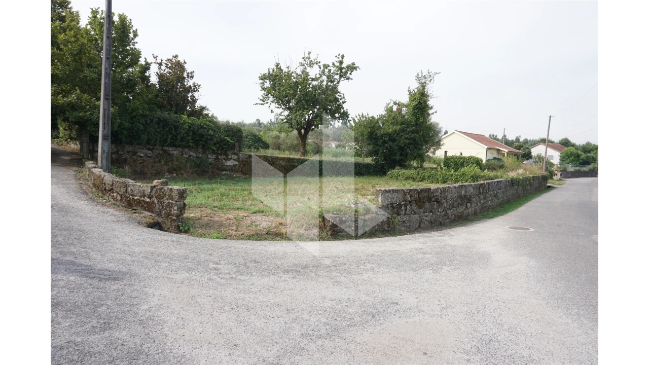 Terreno Agricola ou Rústico para Venda em Tondela e Nandufe Foto 1