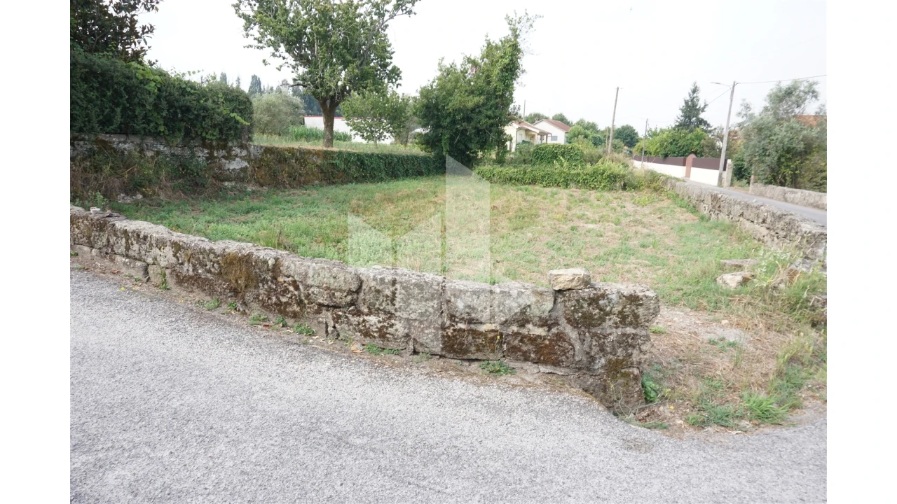 Terreno Agricola ou Rústico para Venda em Tondela e Nandufe Foto 2