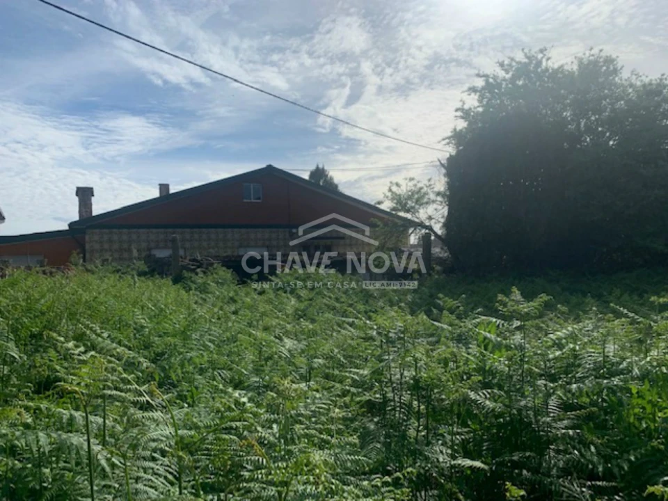 Terreno Misto para Venda em Pedrouços Foto 11