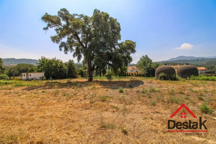 Quinta T0 para Venda em São Pedro do Sul, Várzea e Baiões Foto 28
