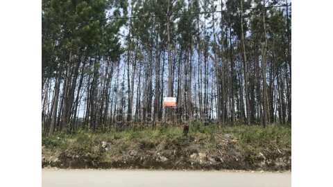 Terreno para Venda em Requeixo, Nossa Senhora de Fátima e Nariz